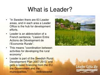 What is Leader?
