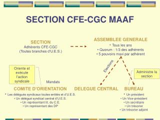 SECTION CFE-CGC MAAF