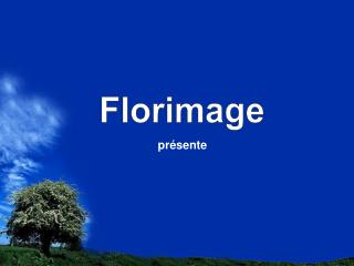 Florimage