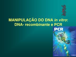 MANIPULAÇÃO DO DNA in vitro : DNA- recombinante e PCR