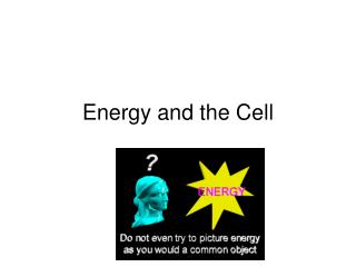 Energy and the Cell