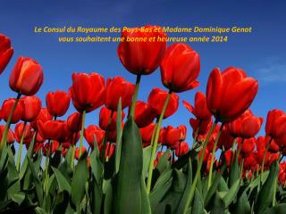 Voeux-2014-consulat-2-1