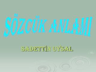 SADETTİN UYSAL