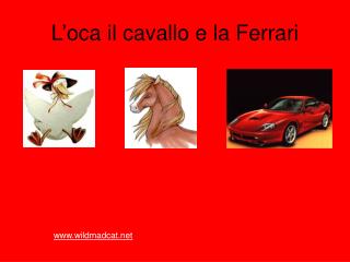 L’oca il cavallo e la Ferrari
