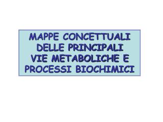 MAPPE CONCETTUALI DELLE PRINCIPALI VIE METABOLICHE E PROCESSI BIOCHIMICI