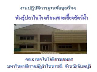 งานปฏิบัติการฐานข้อมูลเรื่อง