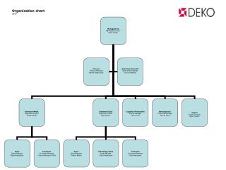 Organisation chart 2009