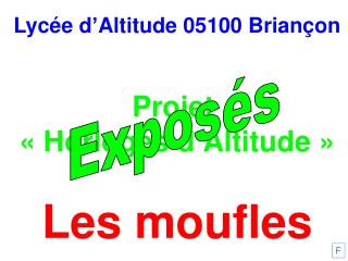 Lycée d’Altitude 05100 Briançon Projet « Horloges d’Altitude » Les moufles