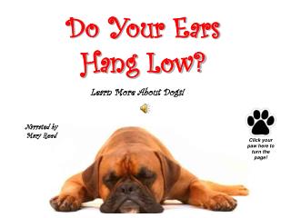 Do Your Ears Hang Low?