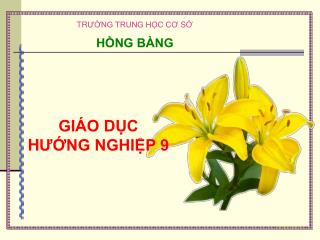 HỒNG BÀNG