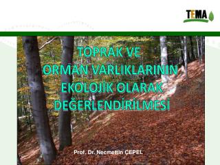 TOPRAK VE ORMAN VARLIKLARININ EKOLOJİK OLARAK DEĞERLENDİRİLMESİ