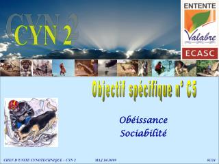 CYN 2