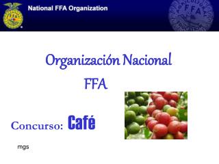 Organizaci ón Nacional