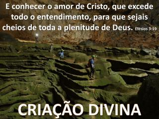 CRIAÇÃO DIVINA