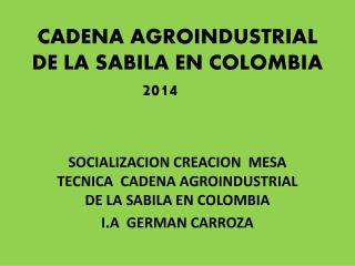 CADENA AGROINDUSTRIAL DE LA SABILA EN COLOMBIA 2014