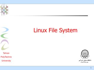 Linux File System