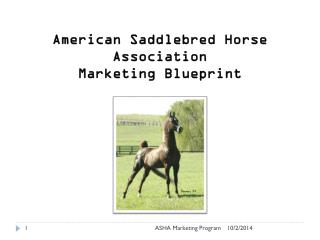 American Saddlebred Horse Association Marketing Blueprint