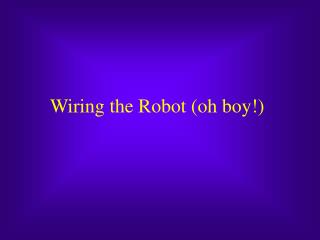 Wiring the Robot (oh boy!)