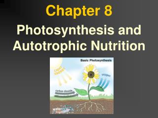 Chapter 8