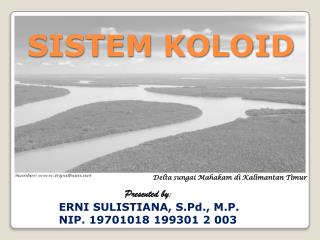 SISTEM KOLOID