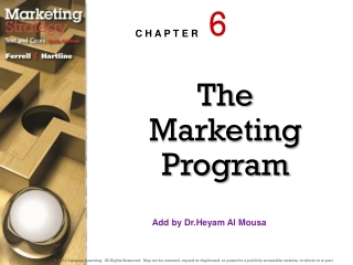 The Marketing Program