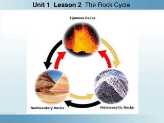 Unit 1 Lesson 2 The Rock Cycle