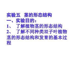 实验五 茎的形态结构 一、实验目的： 1 、  了解植物茎的形态结构 2 、  了解不同种类双子叶植物茎的形态结构和发育的基本过程