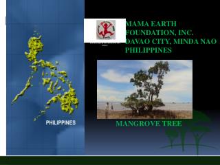 MAMA EARTH 			 FOUNDATION, INC.