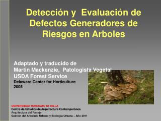 Detección y Evaluación de Defectos Generadores de Riesgos en Arboles