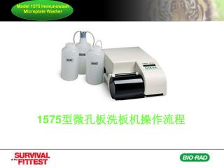 Model 1575 Immunowash Microplate Washer