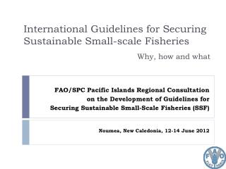 International Guidelines for Securing Sustainable Small-scale Fisheries