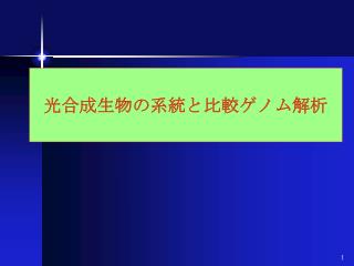 光合成生物の系統と比較ゲノム解析