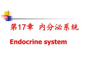 第 17 章 内分泌系统 Endocrine system