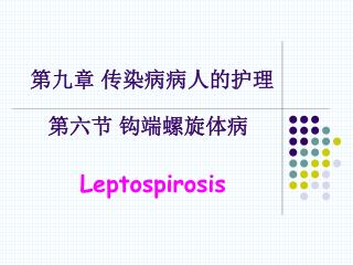 第九章 传染病病人的护理 第六节 钩端螺旋体病