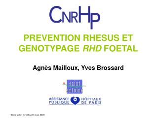 PREVENTION RHESUS ET GENOTYPAGE RHD FOETAL Agnès Mailloux, Yves Brossard
