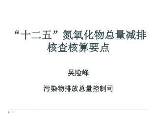 “ 十二五”氮氧化物总量减排核查核算要点 吴险峰 污染物排放总量控制司