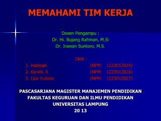 MEMAHAMI TIM KERJA Dosen Pengampu : Dr. Hi. Bujang Rahman, M.Si Dr. Irawan Suntoro, M.S.  Oleh :