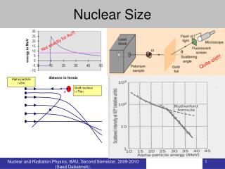 Nuclear Size