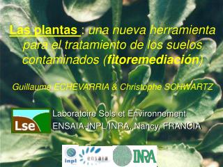 Laboratoire Sols et Environnement ENSAIA-INPL/INRA, Nancy, FRANCIA