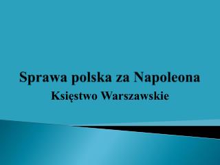 Sprawa polska za Napoleona