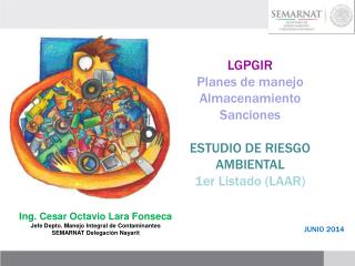 LGPGIR Planes de manejo Almacenamiento Sanciones ESTUDIO DE RIESGO AMBIENTAL 1er Listado (LAAR)