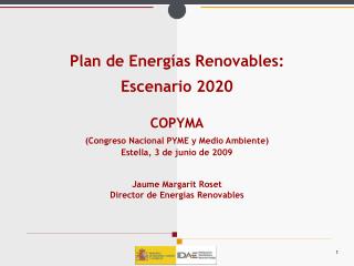 Plan de Energías Renovables: Escenario 2020 COPYMA (Congreso Nacional PYME y Medio Ambiente)