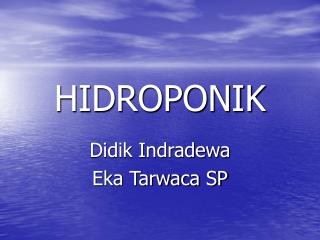 HIDROPONIK