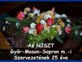 Az NJSZT Győr-Moson-Sopron m.-i Szervezetének 25 éve