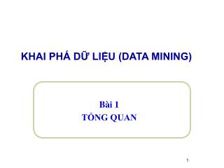 KHAI PHÁ DỮ LIỆU (DATA MINING)