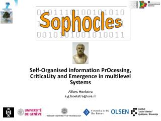 Self-Organised information PrOcessing , CriticaLity and Emergence in multilevel Systems