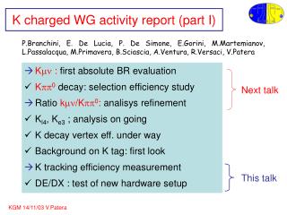 K charged WG activity report (part I)