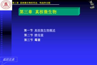 第三章 真核微生物的形态、构造和功能