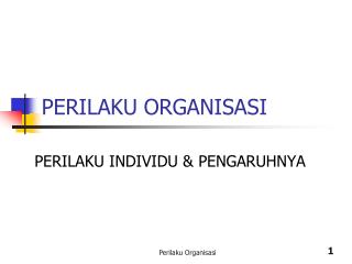 PERILAKU ORGANISASI