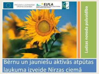 Bērnu un jauniešu aktīvās atpūtas laukuma izveide Nirzas ciemā